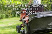 Hollywood Lawn Care Services and Landscaping Companies  
