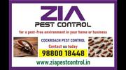 Cockroach Pest Control Upto 30% Discount | Bed Bugs Pest service | 90