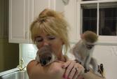  Adorable baby capuchins monkey for adoption and for good and loving f